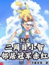 精灵:二周目小智,邻居冠军赤红