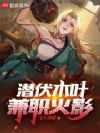 潜伏木叶,兼职火影