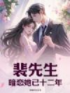 裴先生,暗恋她已十二年
